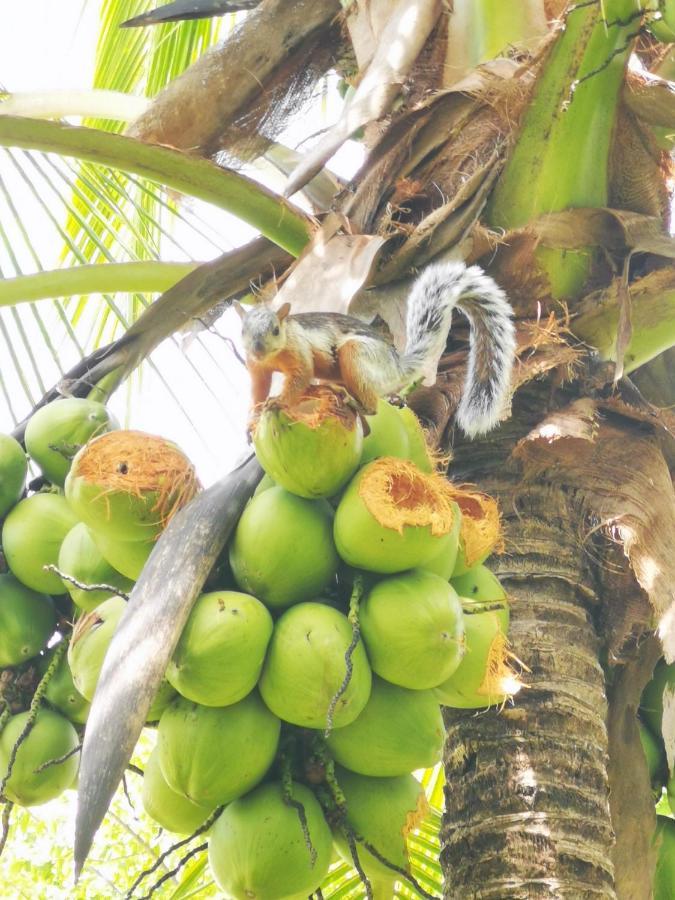Villa Guarias Puntarenas Eksteriør bilde